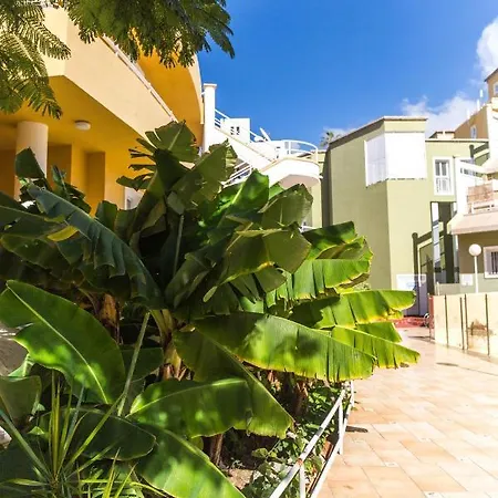 Apartamento Orlando Tenerife Sur Mikey&daisy *
